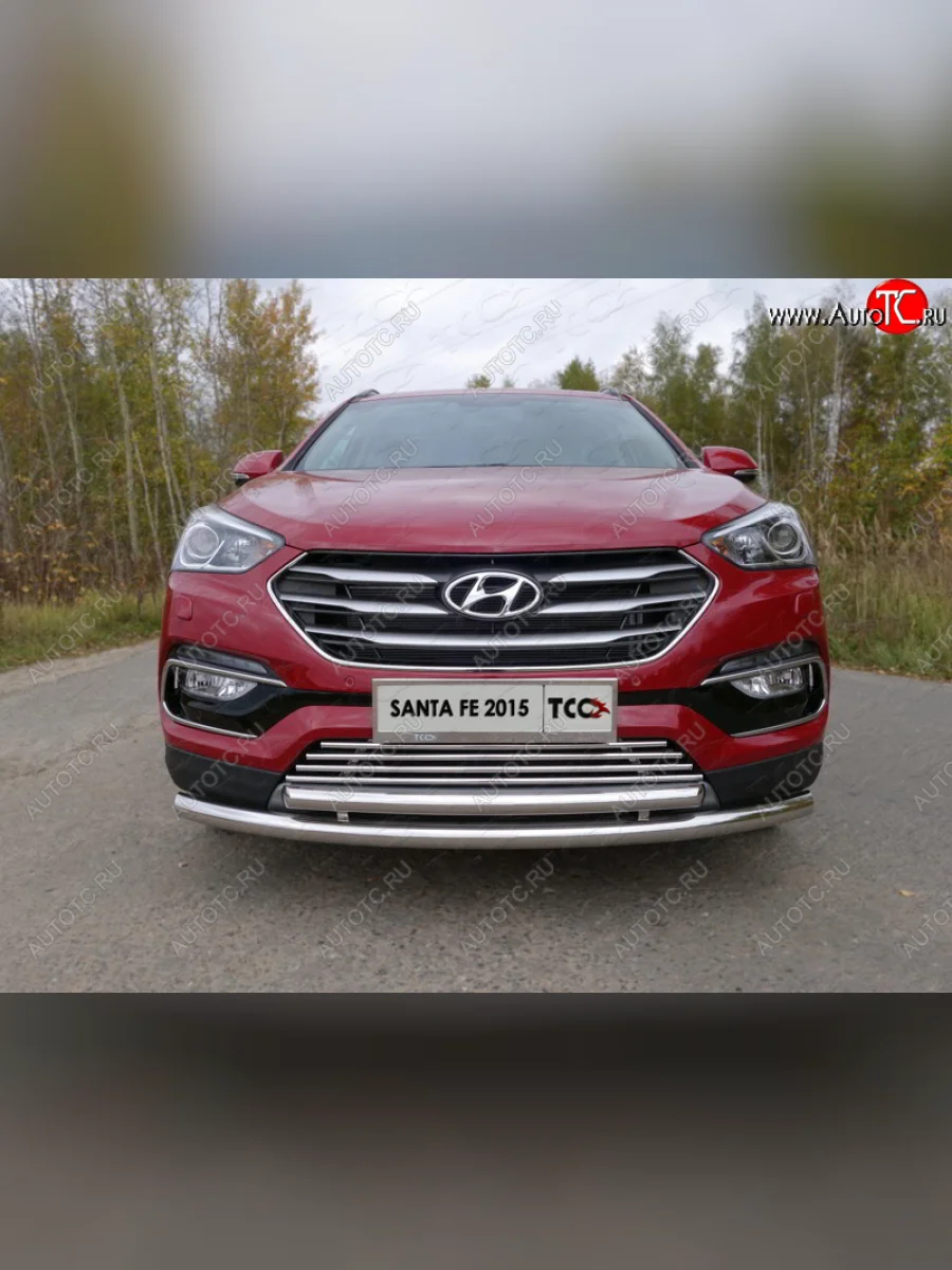 Декоративная вставка переднего бампера (Premium) ТСС Тюнинг  Hyundai Santa Fe (2015-2019) DM (d 16 мм)  в Самаре Самарской области
