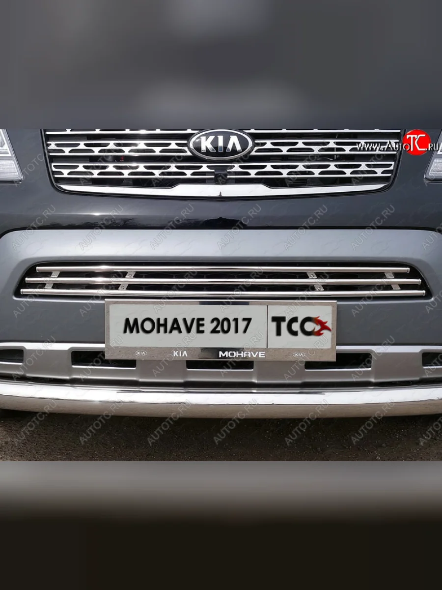 Декоративная вставка переднего бампера ТСС Тюнинг  KIA Mohave (2017-2020) HM (d 16 мм)  с доставкой в г. Керчь