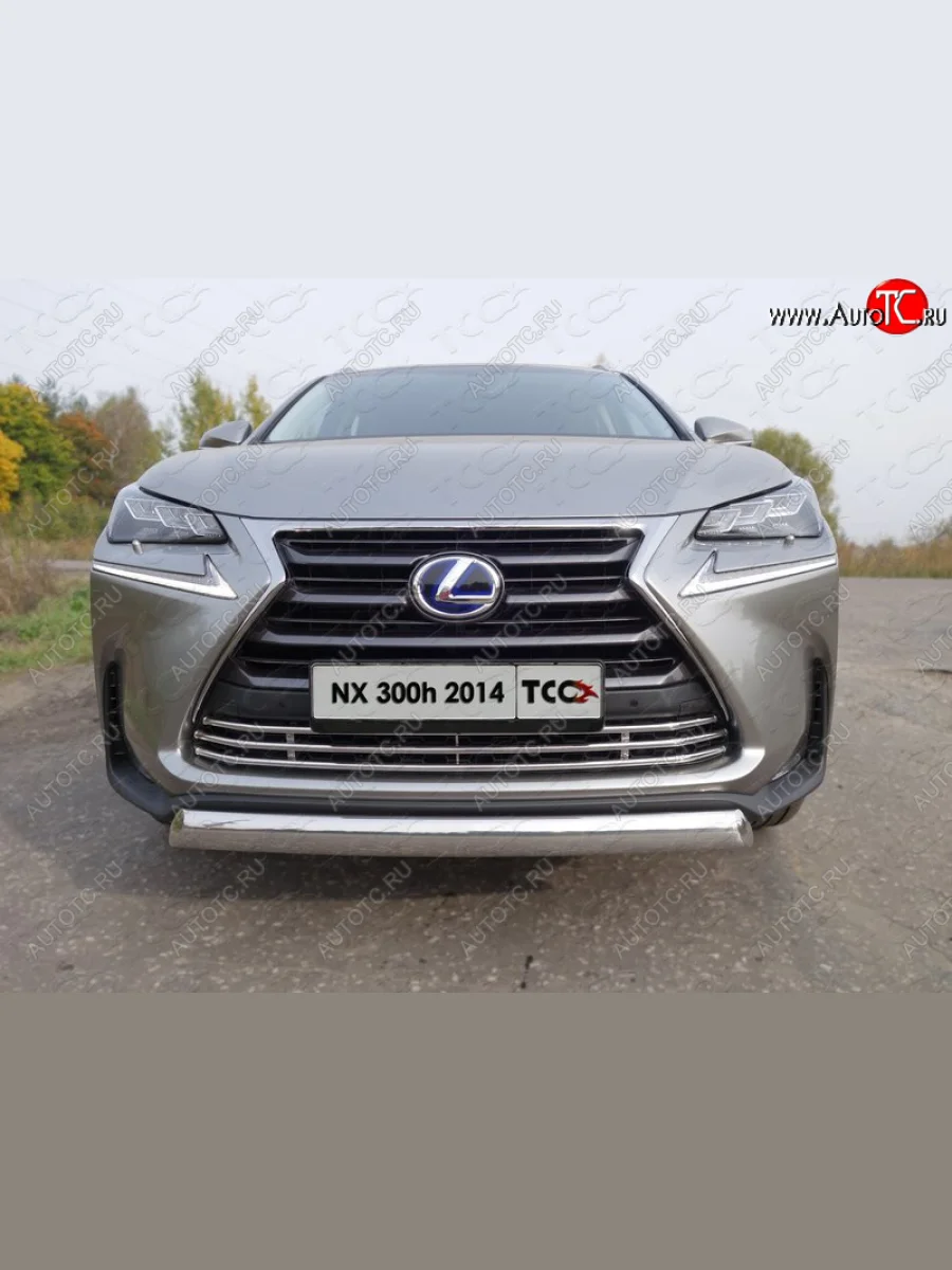 Декоративная вставка переднего бампера (кроме F-Sport) ТСС Тюнинг  Lexus NX300h (2014-2017) Z10 (d 16 мм)  с доставкой в г. Керчь