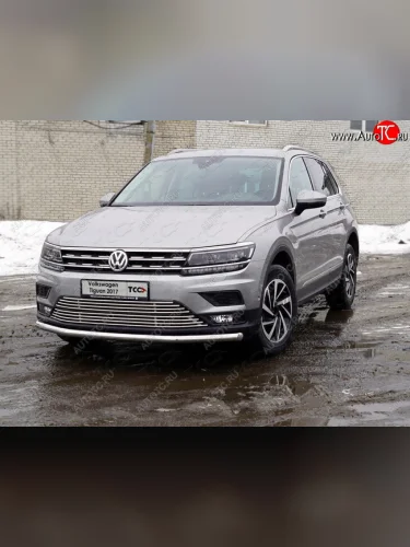 Декоративная вставка переднего бампера (без парктроников) ТСС Тюнинг (d 12 мм) Volkswagen Tiguan  Mk2 (2016-2020) дорестайлинг