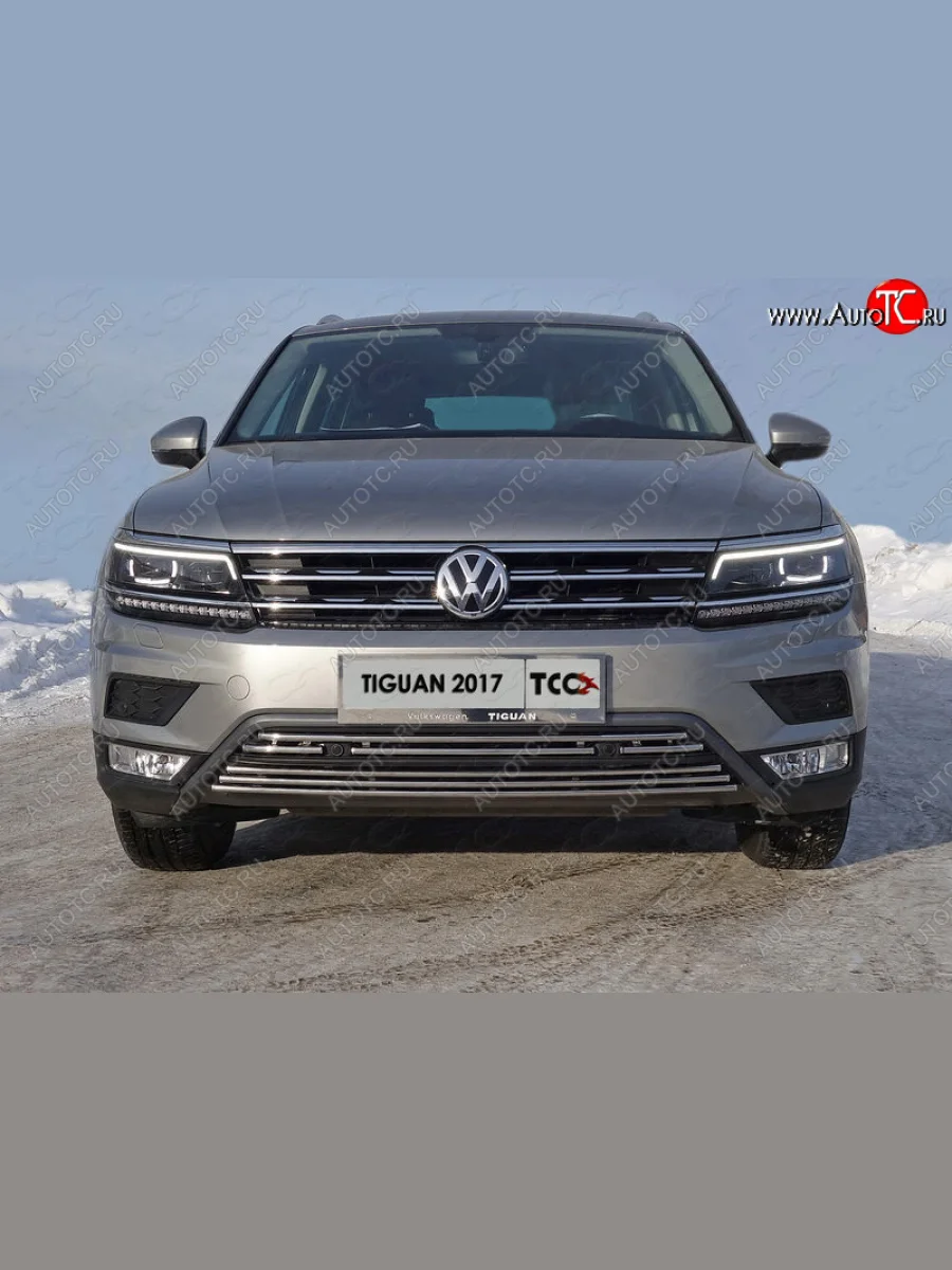 Декоративная вставка переднего бампера (без парктроников) ТСС Тюнинг Volkswagen Tiguan Mk2 дорестайлинг (2016-2020) (d 16 мм)  в Перми Пермском крае