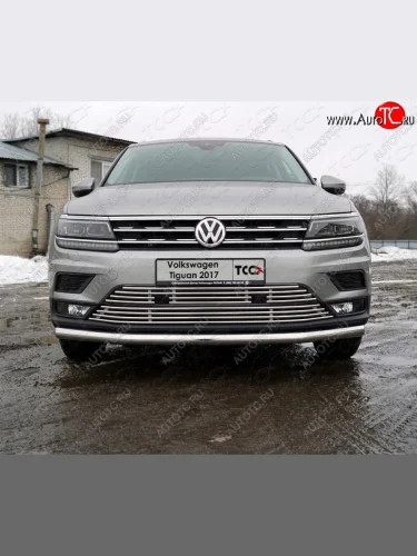 Верхняя декоративная вставка решетки радиатора ТСС Тюнинг (d 12 мм) Volkswagen Tiguan  Mk2 (2016-2020) дорестайлинг