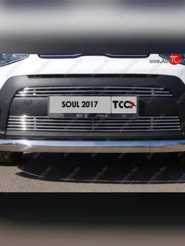 Декоративная вставка переднего бампера ТСС Тюнинг (d 12 мм) KIA Soul  PS (2017-2019) рестайлинг