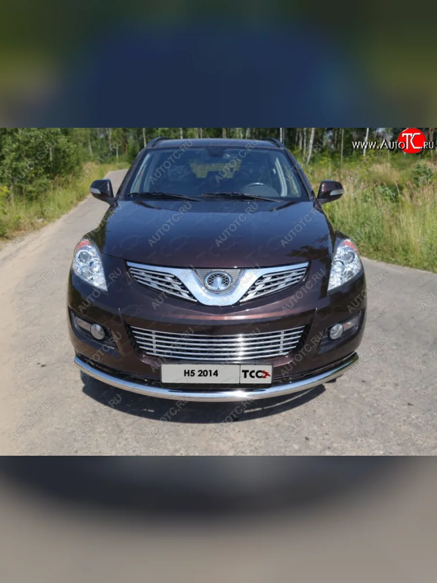 Нижняя декоративная вставка в бампер ТСС Тюнинг Great Wall Hover H5 (2010-2017) (d 12 мм)  в Самаре Самарской области