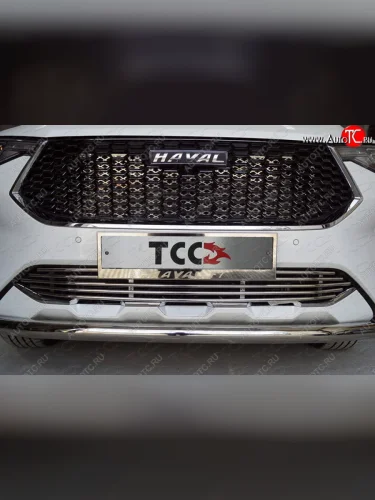 Нижняя декоративная вставка в бампер ТСС Тюнинг (d 12 мм) Haval F7  дорестайлинг (2018-2022)