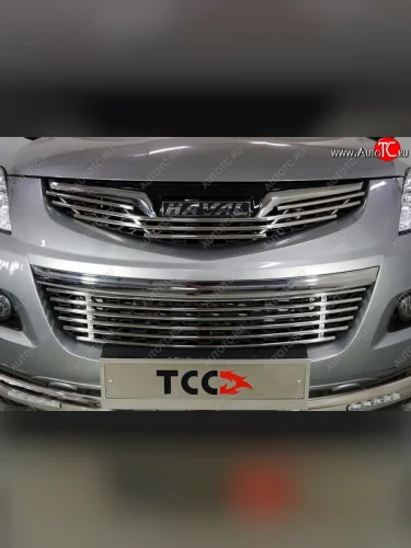 Нижняя декоративная вставка в бампер ТСС Тюнинг (d 12 мм) Haval H5 рестайлинг (2020-2023)