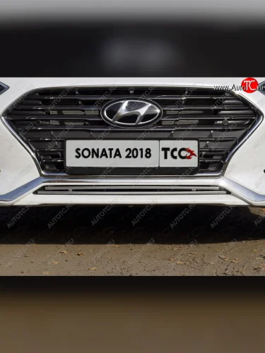 Нижняя декоративная вставка в бампер ТСС Тюнинг (d 12 мм) Hyundai Sonata LF рестайлинг (2017-2019)
