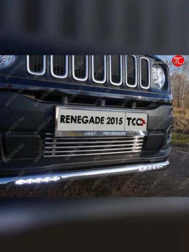 Нижняя декоративная вставка в бампер ТСС Тюнинг Jeep Renegade 1 BU дорестайлинг (2014-2020) (d 12 мм)