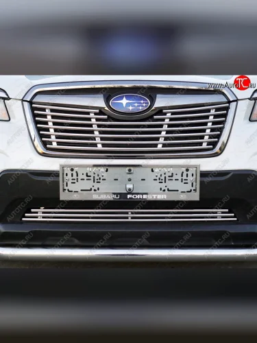 Нижняя декоративная вставка в бампер ТСС Тюнинг (d 12 мм) Subaru Forester SK/S14 дорестайлинг (2018-2021)