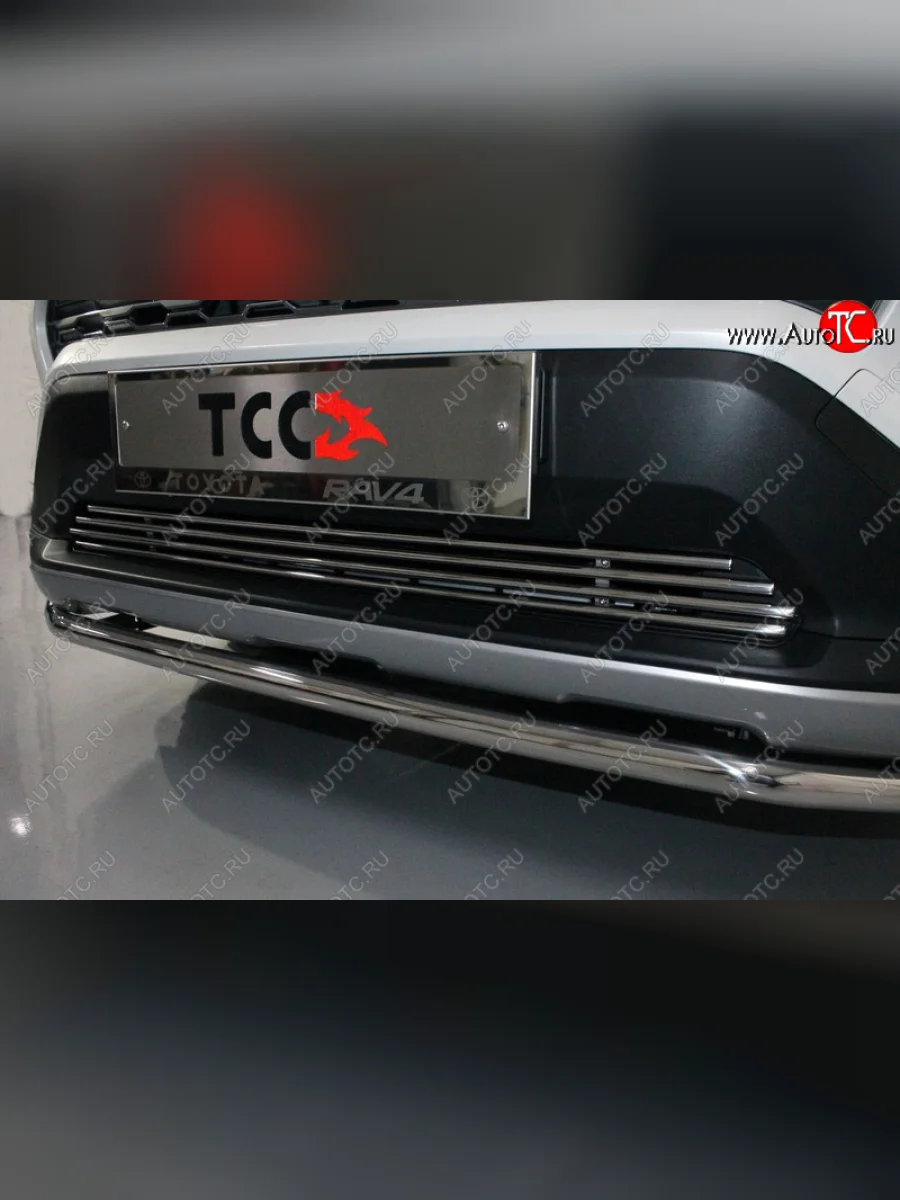 Нижняя декоративная вставка в бампер ТСС Тюнинг Toyota RAV4 XA50 5 дв. дорестайлинг (2018-2025) (d 12 мм)  в Перми Пермском крае