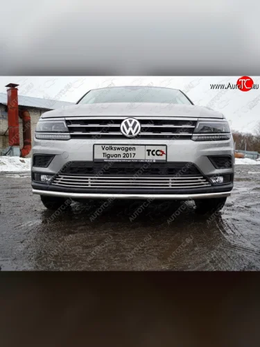 Нижняя декоративная вставка в бампер ТСС Тюнинг (d 12 мм) Volkswagen Tiguan Mk2 дорестайлинг (2016-2020)