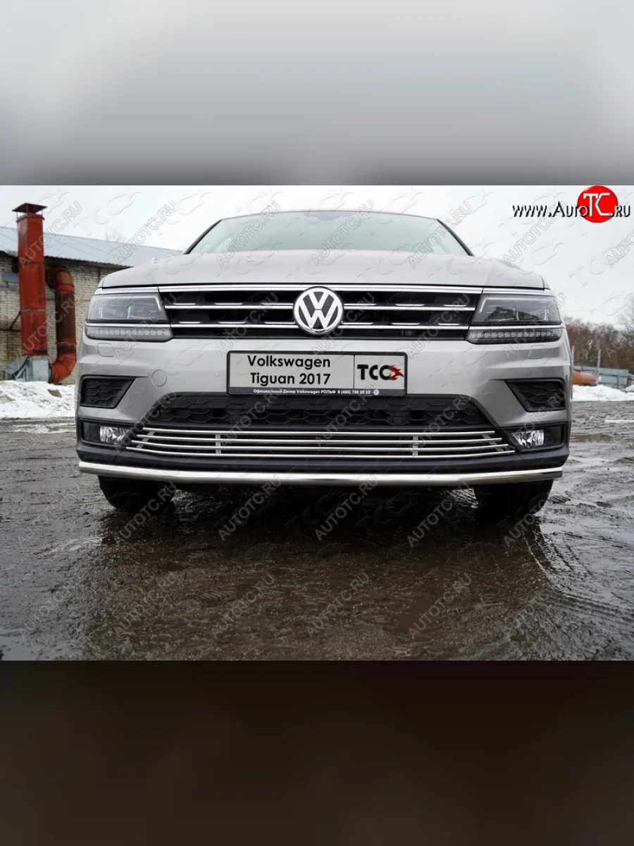Нижняя декоративная вставка в бампер ТСС Тюнинг Volkswagen Tiguan Mk2 дорестайлинг (2016-2020) (d 12 мм)  в Перми Пермском крае