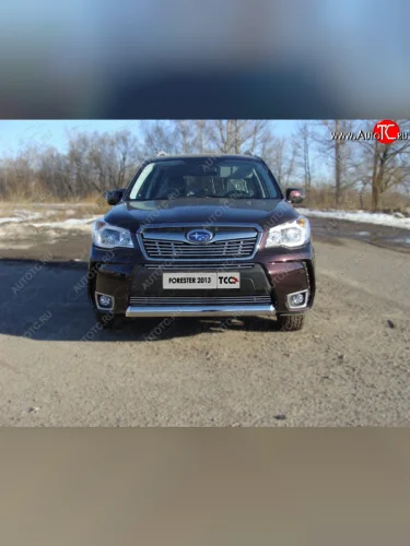 Нижняя декоративная вставка в бампер (спорт) ТСС Тюнинг (d 12 мм) Subaru Forester SJ дорестайлинг (2012-2016)