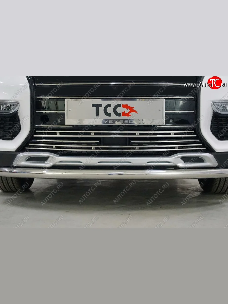 Нижняя декоративная вставка в бампер ТСС Тюнинг EXEED TXL  дорестайлинг (2020-2021) (d 12 мм)  в Керчи Республика Крым