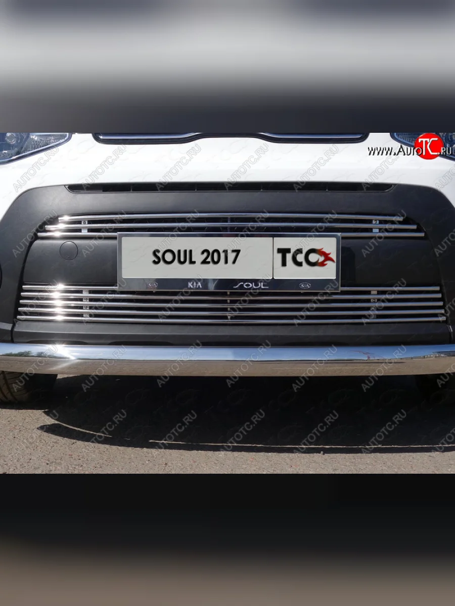 Нижняя декоративная вставка в бампер ТСС Тюнинг KIA Soul PS рестайлинг (2017-2019) (d 12 мм)  в Керчи Республика Крым