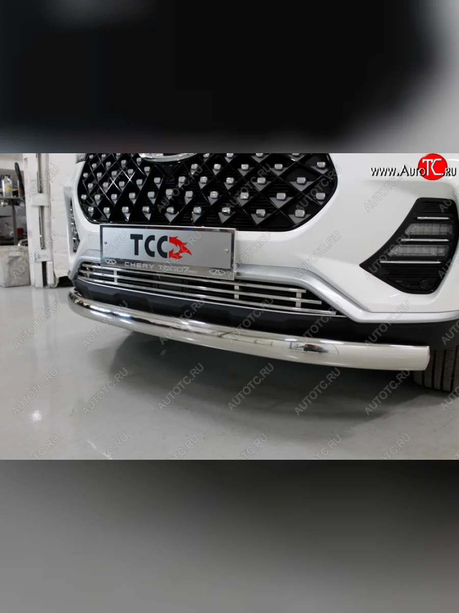 Декоративная вставка в бампер ТСС Тюнинг  Chery Tiggo 7 PRO (2019-2025) (d 12 мм)  в Самаре Самарской области