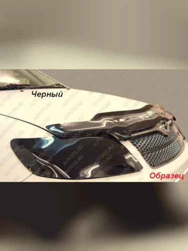 Защита фар CA-Plastic (серия Classic черный) Hyundai Grandeur  TG (2005-2009) дорестайлинг