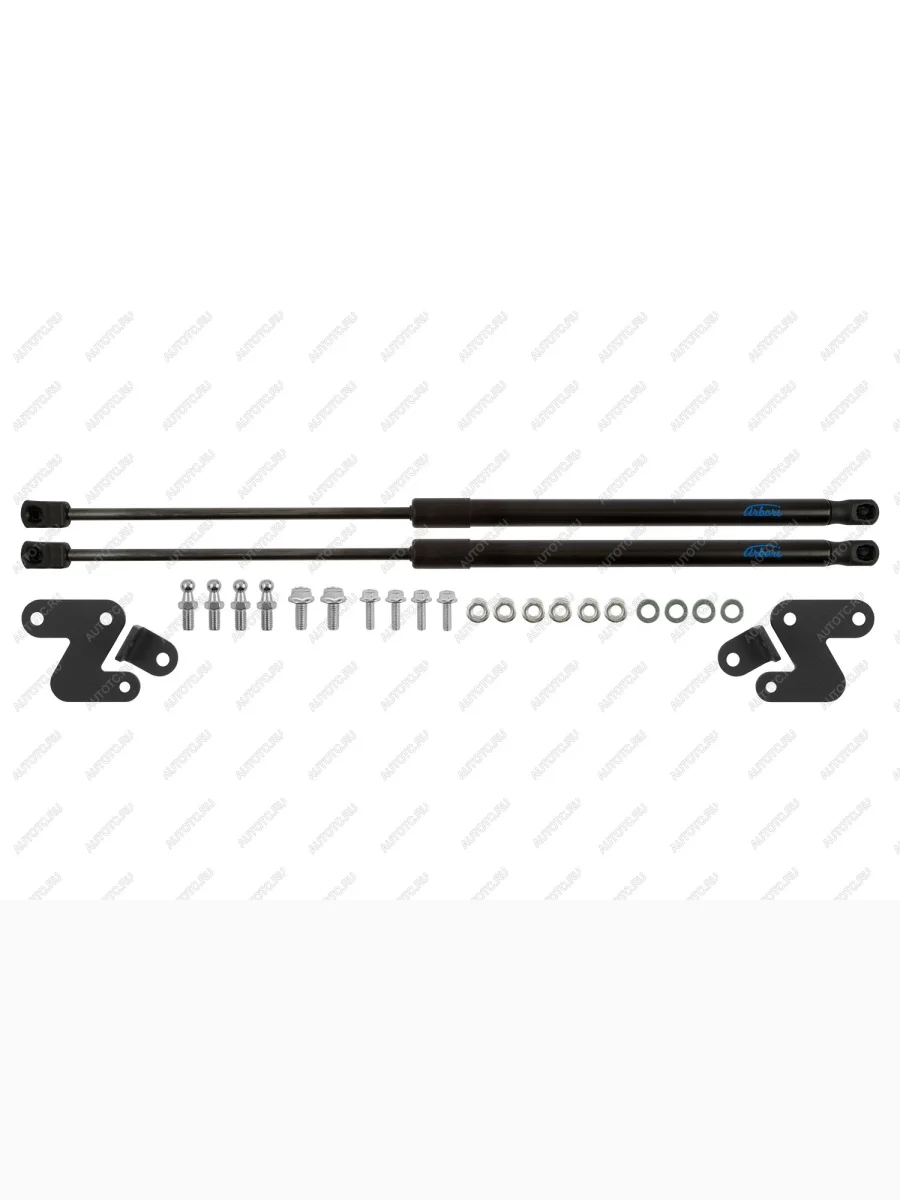 Упоры капота Arbori  Honda Odyssey (2020-2023) RC4,RC1,RC2  с доставкой в г. Керчь