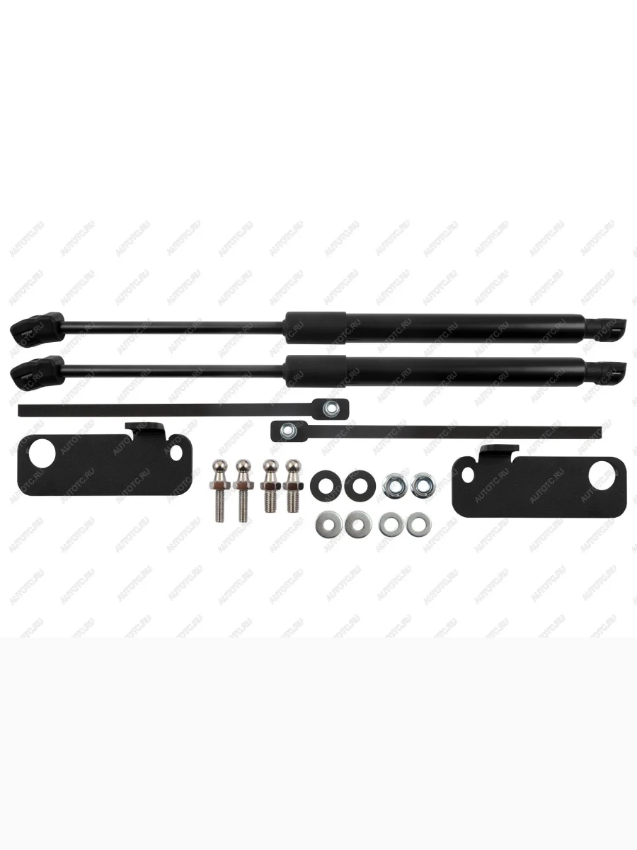 Упоры капота Arbori BAIC U5 Plus (2021-2025)  в Перми Пермском крае