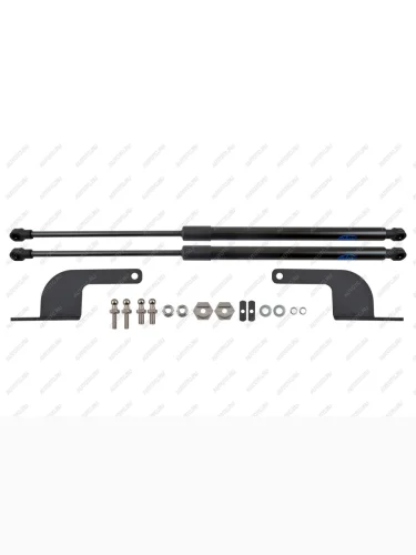 Упор капота Arbori Evolute i-PRO (2022-2025)