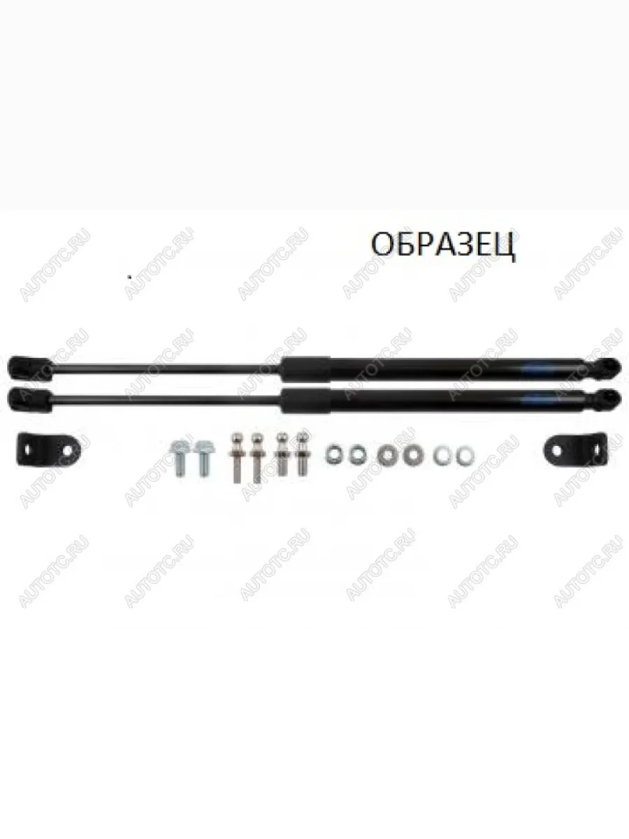 Упор капота ТехноМастер Ford Kuga 2 дорестайлинг (2013-2016)  в Воронеже Воронежской области