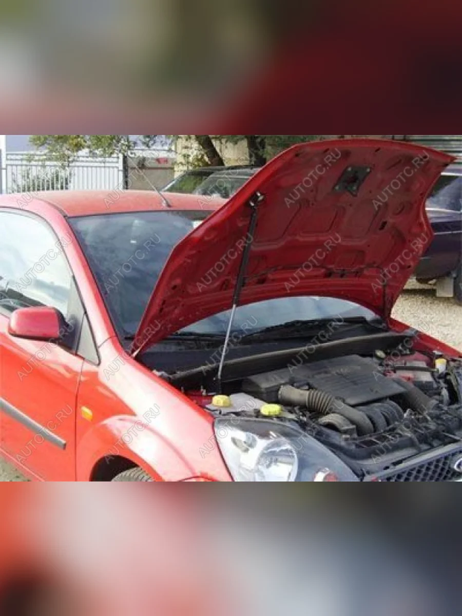 Упор капота ТехноМастер Ford Fiesta 5 хэтчбэк 5 дв. дорестайлинг (2001-2005)  в Керчи Республика Крым