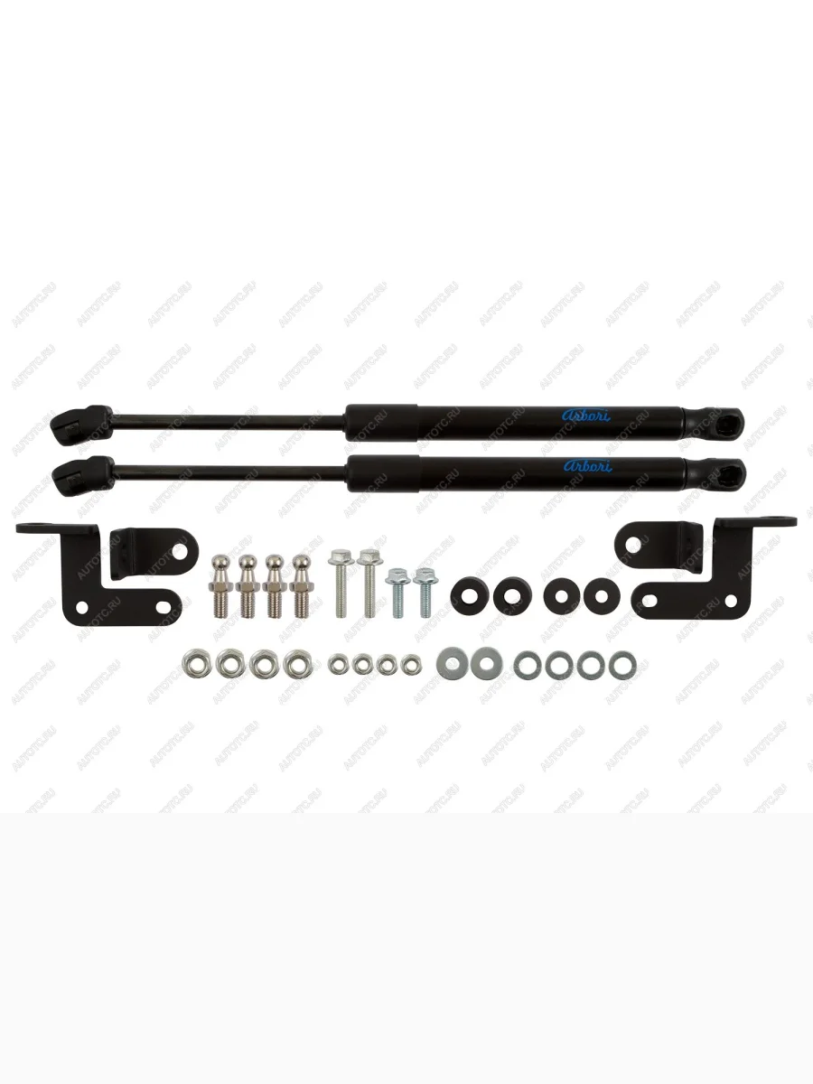 Упоры капота Arbori Livan X3 Pro (2022-2025)  в Перми Пермском крае