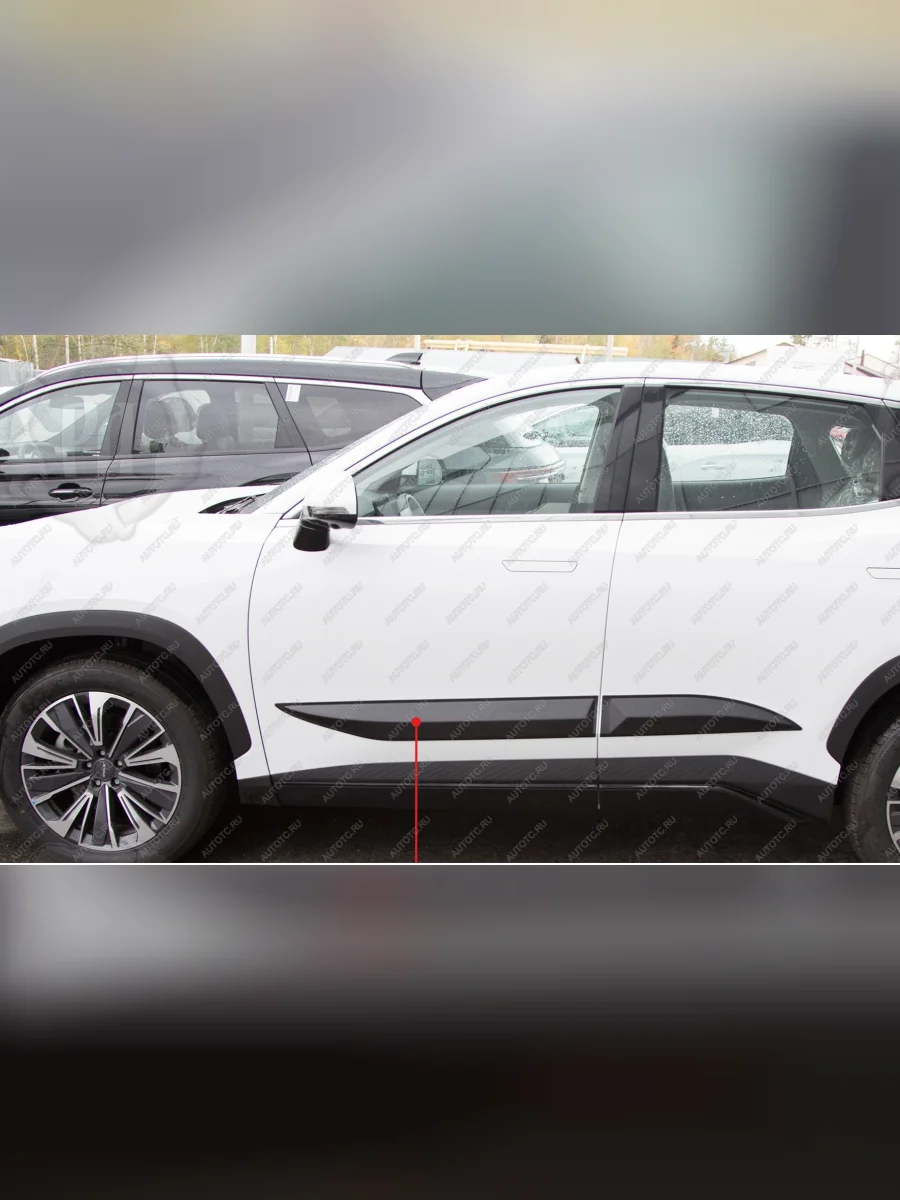 Молдинг двери задний левый Русская Артель Jetour Dashing (2022-2025) (глянец под покраску)  в Перми Пермском крае