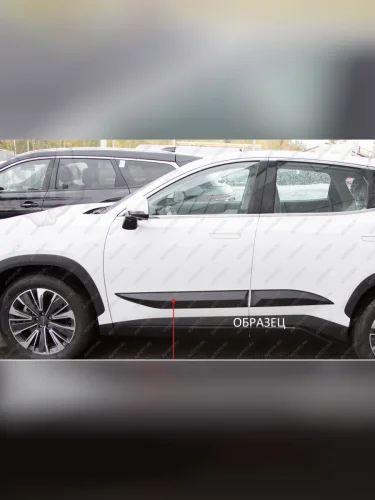 Молдинг двери задний правый Русская Артель (шагрень) Jetour Dashing (2022-2025)