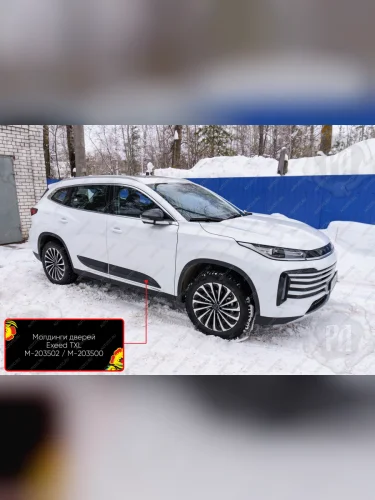 Молдинг двери передний левый Русская Артель (шагрень) EXEED TXL (2020-2021)  дорестайлинг