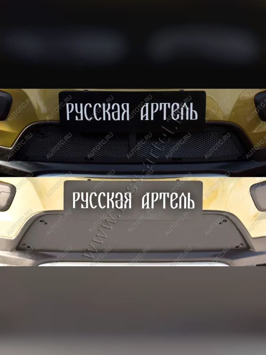 Защитная сетка и зимняя заглушка решетки переднего бампера Русская Артель Renault Sandero Stepway 2 дорестайлинг (2014-2018) (шагрень)  в Перми Пермском крае