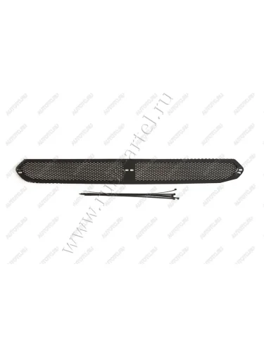 Защитная сетка переднего бампера Русская Артель (шагрень) Ford Focus 2 хэтчбэк 3 дв. рестайлинг (2007-2011)