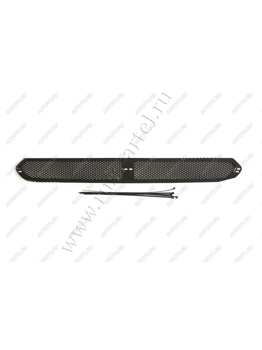 Защитная сетка переднего бампера Русская Артель Ford Focus 2 хэтчбэк 3 дв. рестайлинг (2007-2011) (шагрень)  с доставкой в г. Керчь