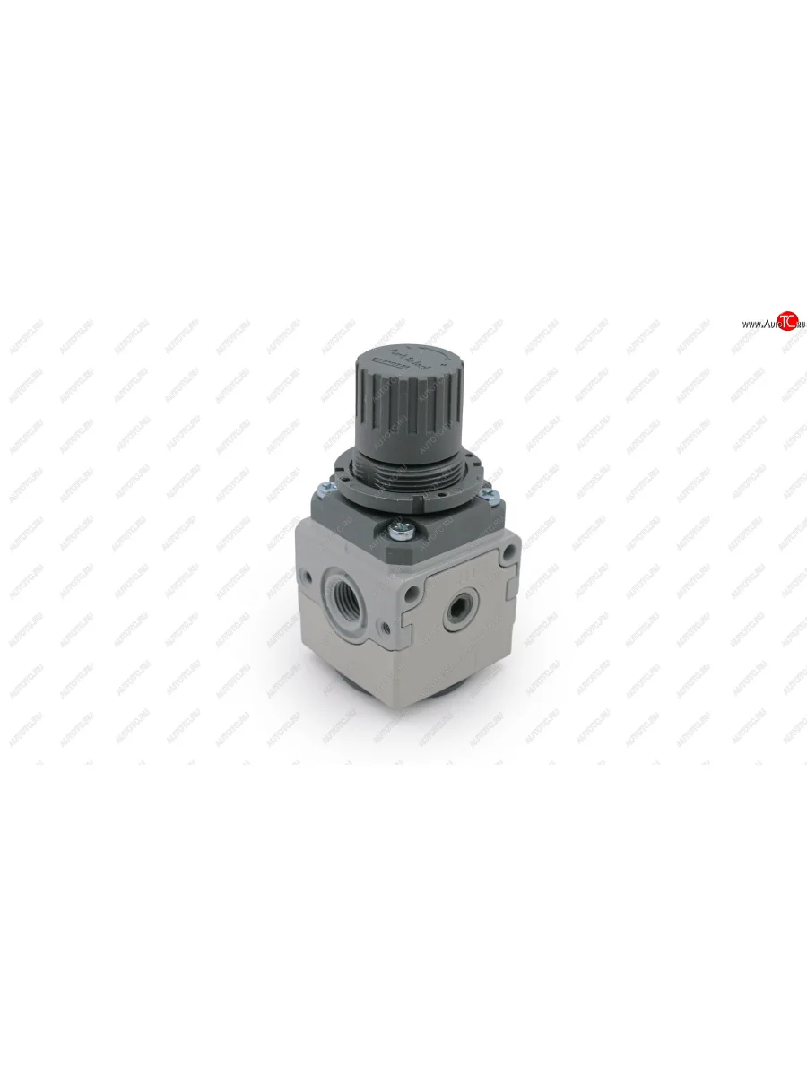 Регулятор давления,14, MC104-R11, Camozzi Camozzi mc104-r11  с доставкой в г. Керчь