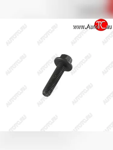 Болт многофункциональный (М6Х1.00Х25) 3902023 CUMMINS 13154