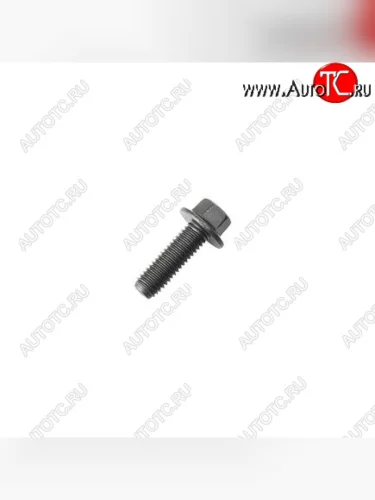 Болт многофункциональный ISF 2.8, ISF 3.8 (М8Х1.25Х25) 3900631 CUMMINS 13551