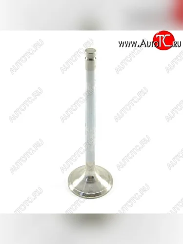 Клапан выпускной ГБЦ 6CT 3921444 CUMMINS 0261