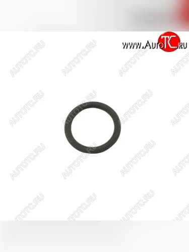 Кольцо уплотнительное форсунки ISF 3.8, ISBe 5288373 CUMMINS 0344