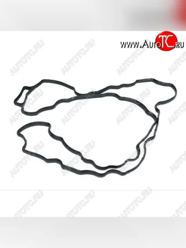 Прокладка клапанной крышки 6ISBe 4899226 CUMMINS 0326