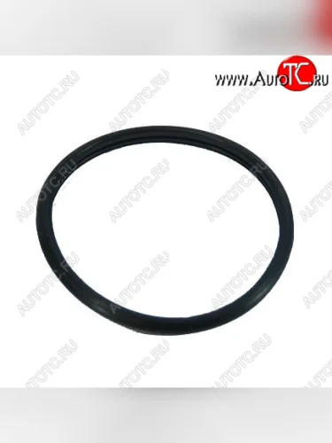 Прокладка термостата ISF 3.8, ISBe, ISDe 3954829 CUMMINS 0329