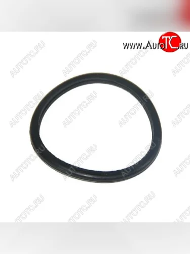 Прокладка термостата ISF 2.8 5257077 CUMMINS 0128