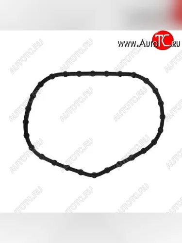 Прокладка ТНВД ISLe 4010636 CUMMINS 13717