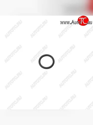 Кольцо уплотнительное форсунки ISBe F00RJ01026 CUMMINS 13759