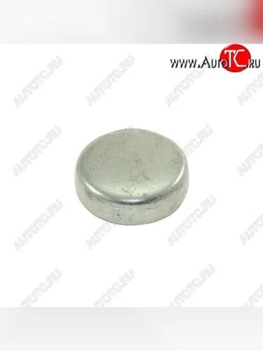 Заглушка блока  головки цилиндров (13 мм) 3945095 CUMMINS 0757