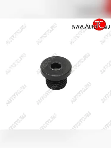 Заглушка блока  головки цилиндров (12 мм) 3678921 CUMMINS 13800