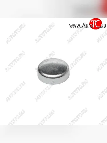 Заглушка (25м) 3007635 CUMMINS 13784