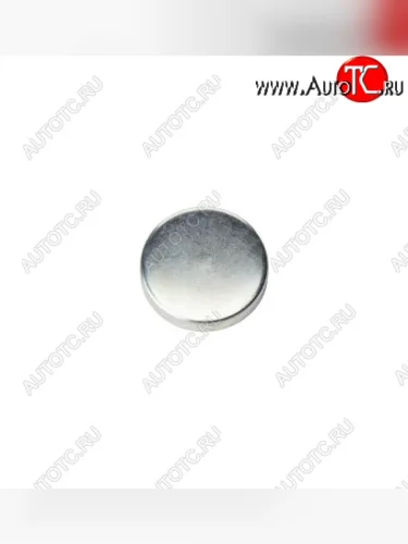 Заглушка блока  головки цилиндров (58 мм) 4938189 CUMMINS 13797