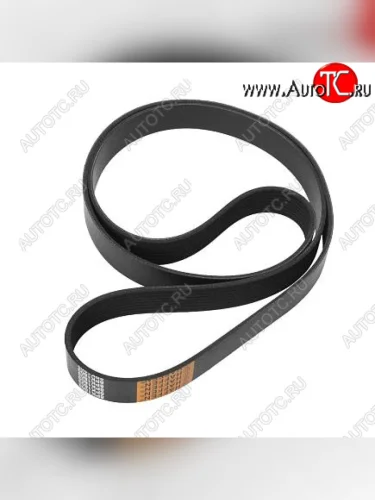 Ремень 8PK1803 4BT 3289347 CUMMINS 10019