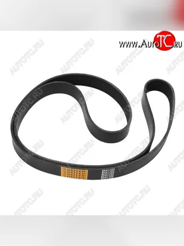 Ремень 8PK1725 6BT, ISLe 3288475 CUMMINS 0811