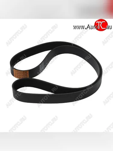 Ремень 8PK1425 ISBe, 6BT 3911588 CUMMINS 0134